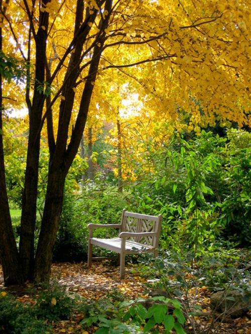 Magnificent Landscaping - Configuring your personality in the garden