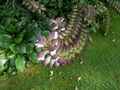Magnificent Landscaping - Configuring your personality in the garden