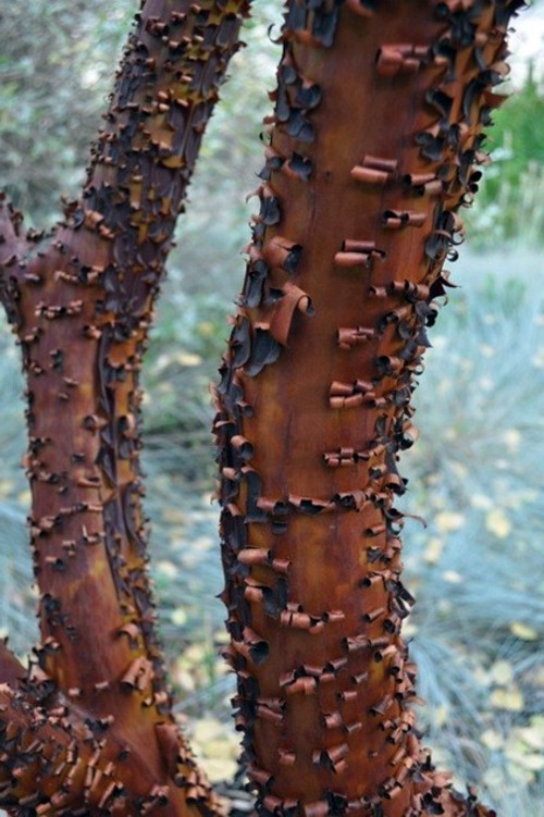 Magnificent Landscaping - Configuring your personality in the garden