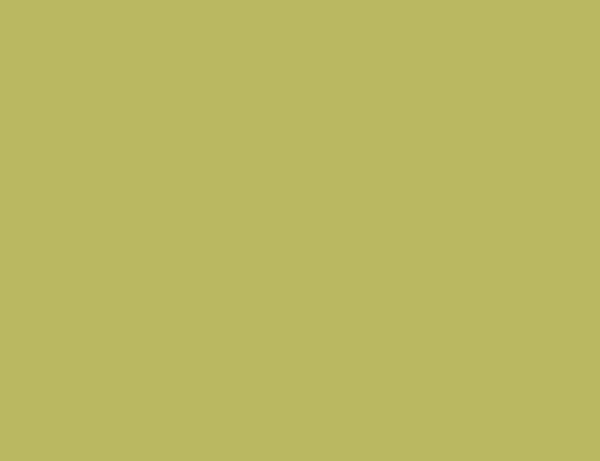 Wall color olive green relaxes the senses and fights against daily stress