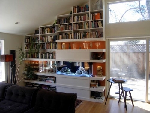 Cool ideas for home library layout - furnishing solutions