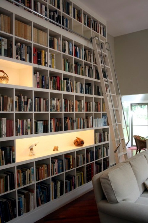 Cool ideas for home library layout - furnishing solutions