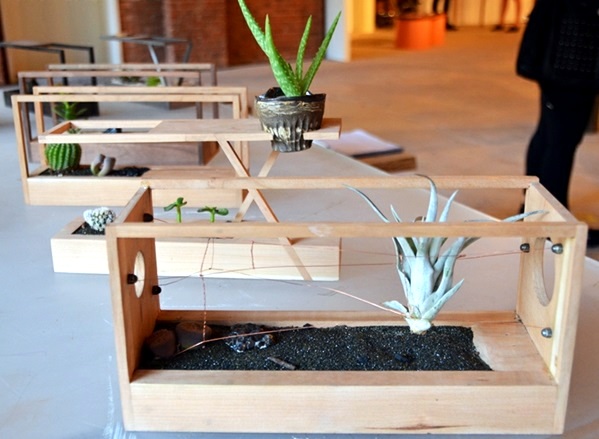 Designs, cool accessories and decorative items that fascinate you