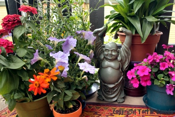 Flowers and plants for the balcony - create gorgeous, fresh atmosphere