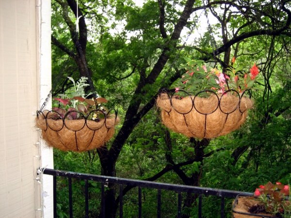 Flowers and plants for the balcony - create gorgeous, fresh atmosphere