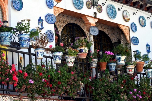 Flowers and plants for the balcony - create gorgeous, fresh atmosphere