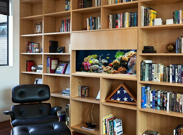 Einrichtungsideen - Aquarium at work - soothing and beautiful decoration