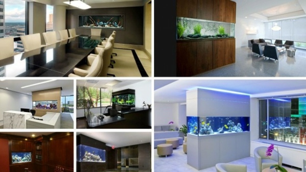 Aquarium at work - soothing and beautiful decoration