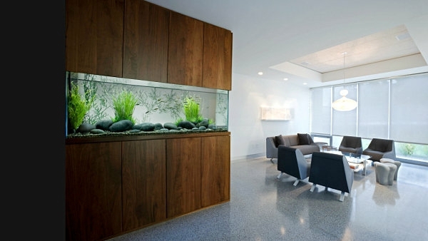 Aquarium at work - soothing and beautiful decoration