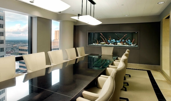 Aquarium at work - soothing and beautiful decoration