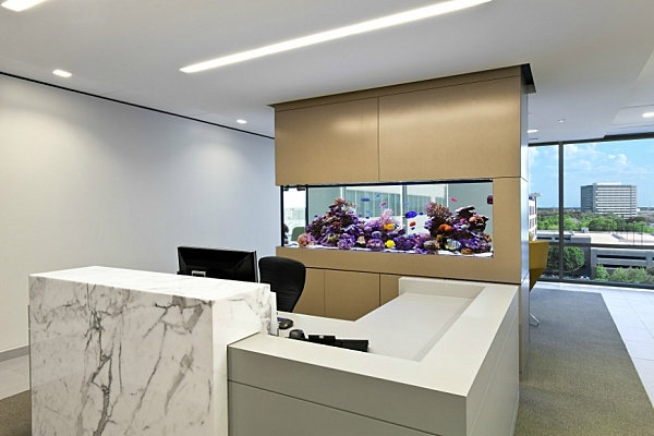 Aquarium at work - soothing and beautiful decoration