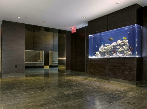 Aquarium at work - soothing and beautiful decoration