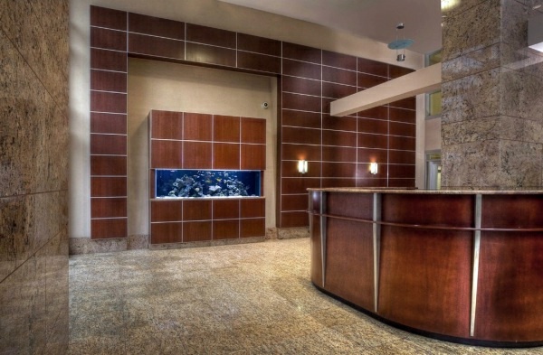 Aquarium at work - soothing and beautiful decoration