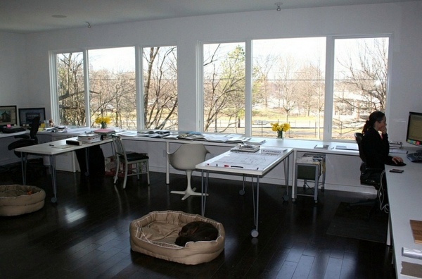 Modern architecture and environmentally friendly design - a house in Atlanta, you should see