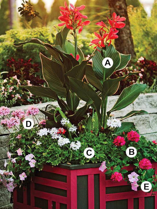 Perfect flower containers for your geraniums - Landscaping