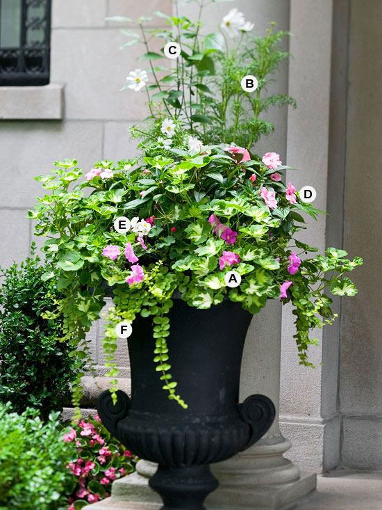 Perfect flower containers for your geraniums - Landscaping