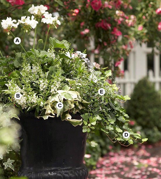 Perfect flower containers for your geraniums - Landscaping