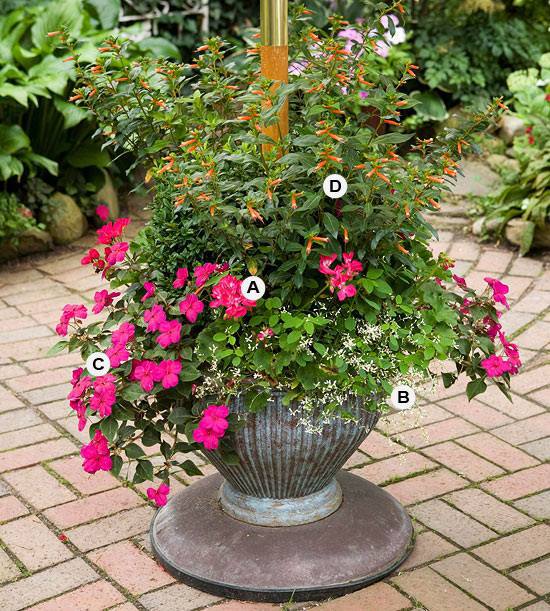 Perfect flower containers for your geraniums - Landscaping