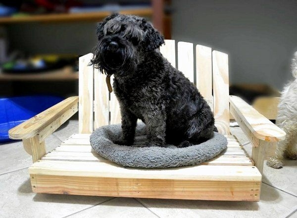 Make great dog beds from Euro pallets themselves – dog beds made of wood