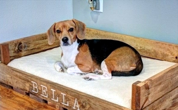 Make great dog beds from Euro pallets themselves - dog beds made of wood Make great dog beds from Euro pallets themselves - dog beds made of wood