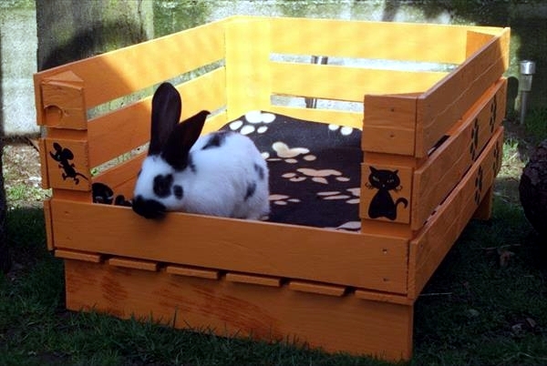 Make great dog beds from Euro pallets themselves - dog beds made of wood Make great dog beds from Euro pallets themselves - dog beds made of wood