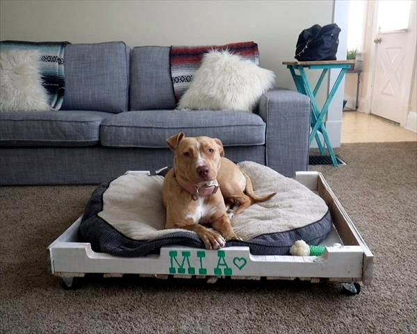 Haustiere - Make great dog beds from Euro pallets themselves - dog beds made of wood