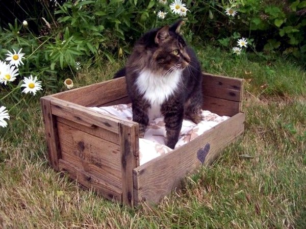 Make great dog beds from Euro pallets themselves - dog beds made of wood Make great dog beds from Euro pallets themselves - dog beds made of wood