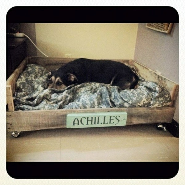 Make great dog beds from Euro pallets themselves - dog beds made of wood Make great dog beds from Euro pallets themselves - dog beds made of wood