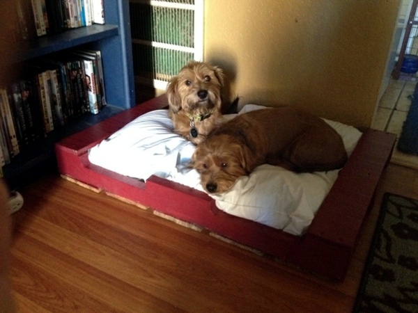 Make great dog beds from Euro pallets themselves - dog beds made of wood Make great dog beds from Euro pallets themselves - dog beds made of wood