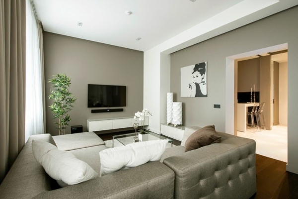 Luxury Apartment - Minimalist interior with momentum