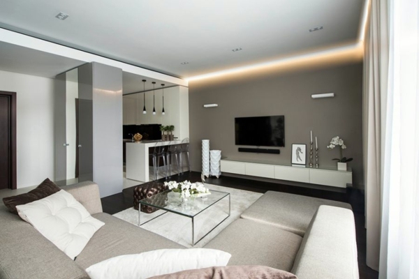 Luxury Apartment - Minimalist interior with momentum