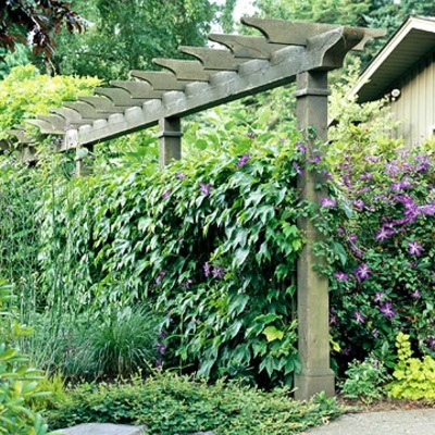 Smart Ideas on how to make the narrow space in the garden