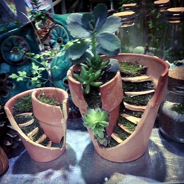 Creative Landscaping with broken plant pots