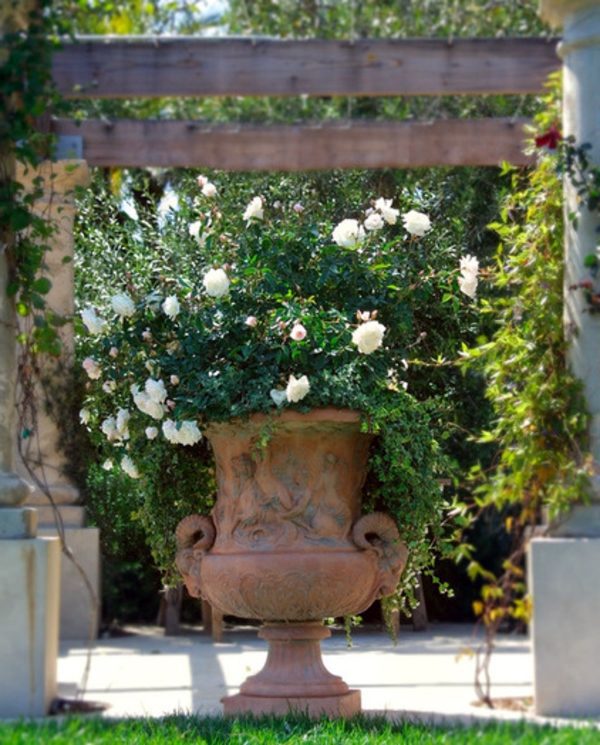 12 Chic Ideas for Pots - beautify your porch spring