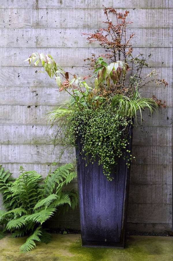 12 Chic Ideas for Pots - beautify your porch spring