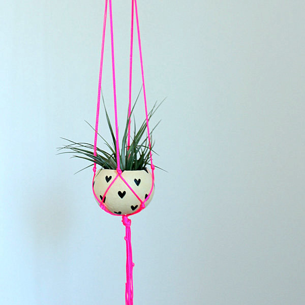 Garten & Pflanzen - Hanging plants - hanging plants container as home accessories in the interior or exterior space Garten & Pflanzen - Hanging plants - hanging plants container as home accessories in the interior or exterior space