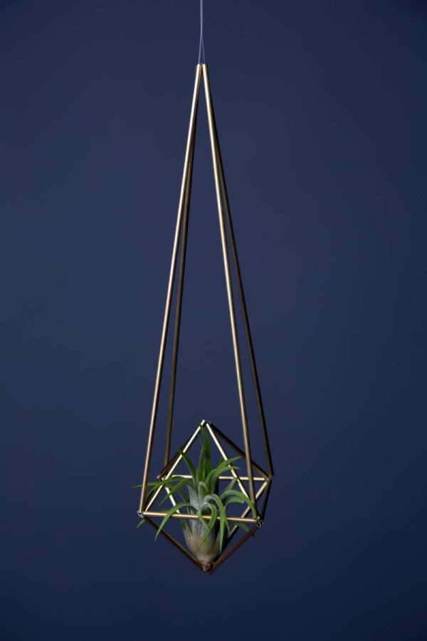 Hanging plants - hanging plants container as home accessories in the interior or exterior space