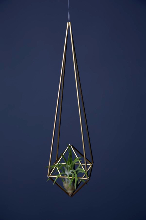 Hanging plants - hanging plants container as home accessories in the interior or exterior space Hanging plants - hanging plants container as home accessories in the interior or exterior space