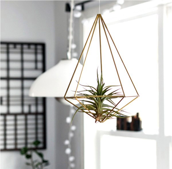 Hanging plants - hanging plants container as home accessories in the interior or exterior space