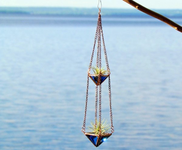 Hanging plants - hanging plants container as home accessories in the interior or exterior space