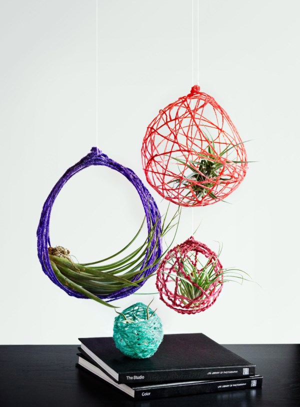 Hanging plants - hanging plants container as home accessories in the interior or exterior space Hanging plants - hanging plants container as home accessories in the interior or exterior space