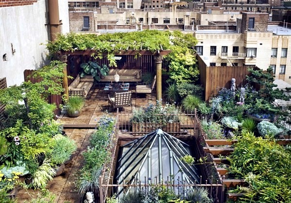 Garten - Penthouse with terrace and Planted Exotic device
