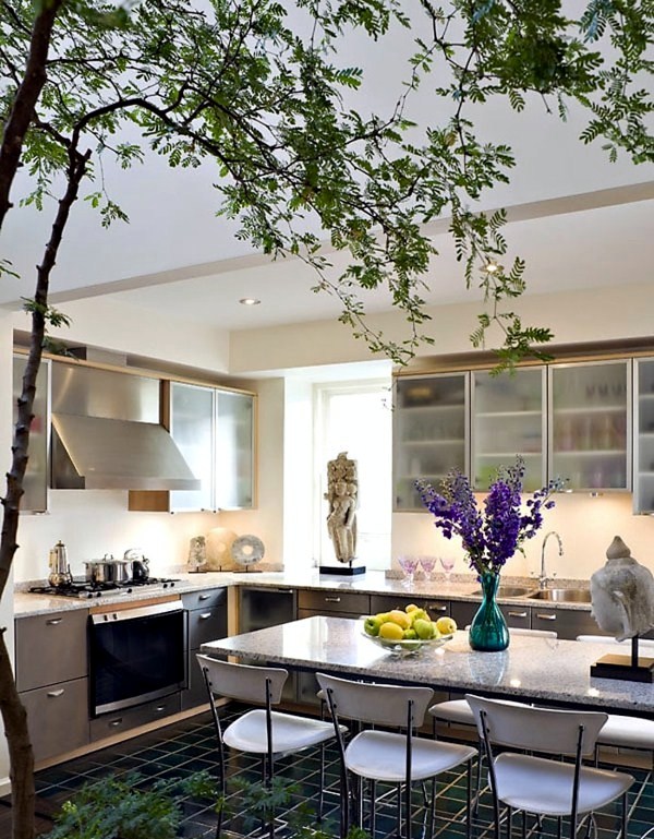 Penthouse with terrace and Planted Exotic device Penthouse with terrace and Planted Exotic device