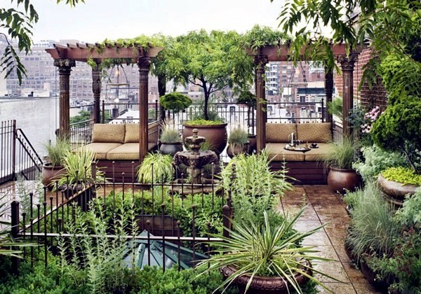 Penthouse with terrace and Planted Exotic device Penthouse with terrace and Planted Exotic device