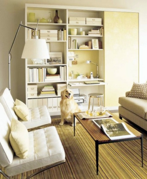 16 practical tips for storage and organization in living room
