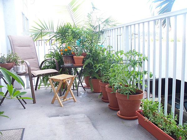 Garten & Pflanzen - Terrace design with plants - beautiful examples and advice for you Garten & Pflanzen - Terrace design with plants - beautiful examples and advice for you