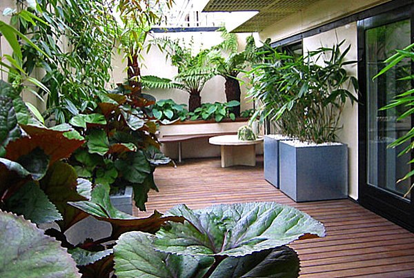 Terrace design with plants - beautiful examples and advice for you Terrace design with plants - beautiful examples and advice for you