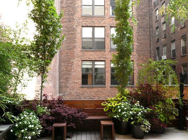 Terrace design with plants - beautiful examples and advice for you