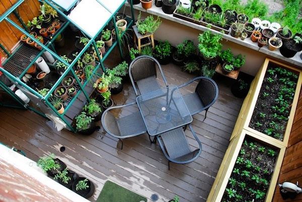 Terrace design with plants - beautiful examples and advice for you