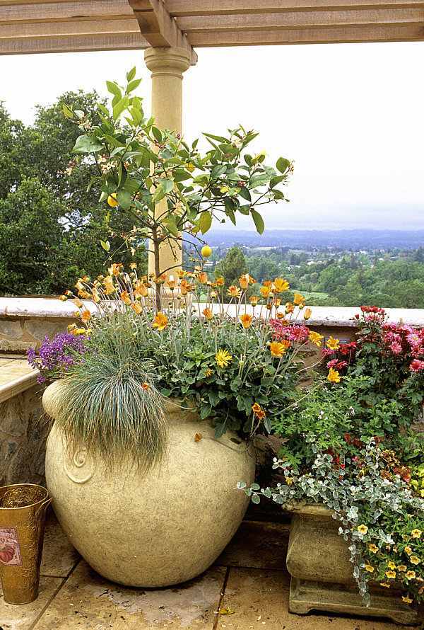 Terrace design with plants - beautiful examples and advice for you Terrace design with plants - beautiful examples and advice for you